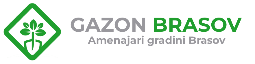 Gazon Brasov