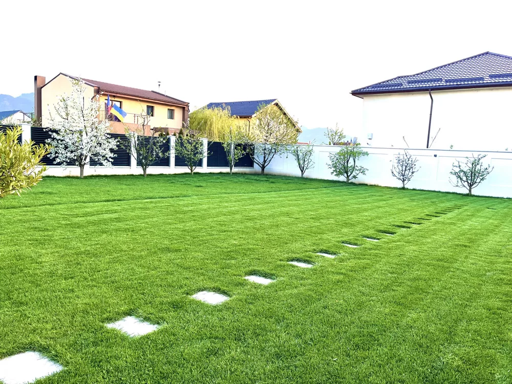 urban-zone-amenajare-gradina-19
