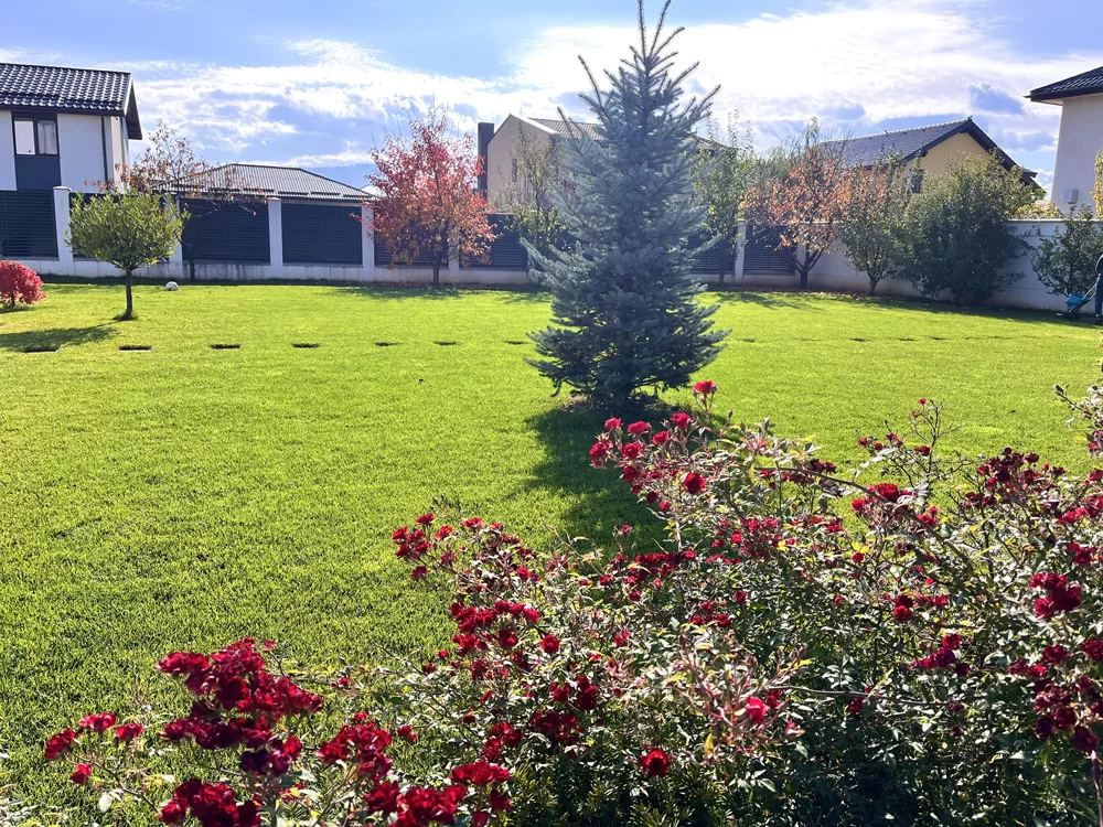 urban-zone-amenajare-gradina-36