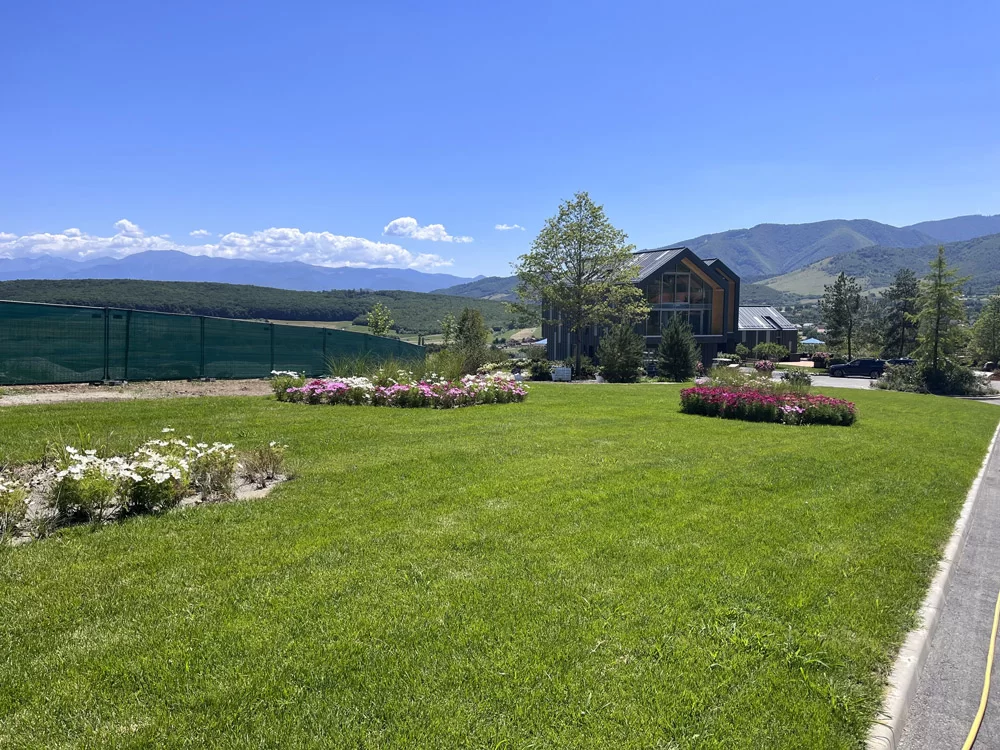 urban-zone-amenajare-gradina-47